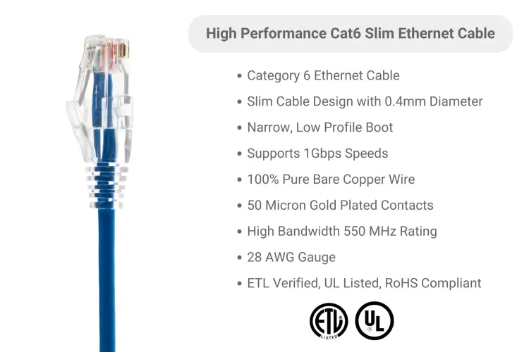 Miei T　1001 4X1000PKC5E-3__39367.jpg?v=