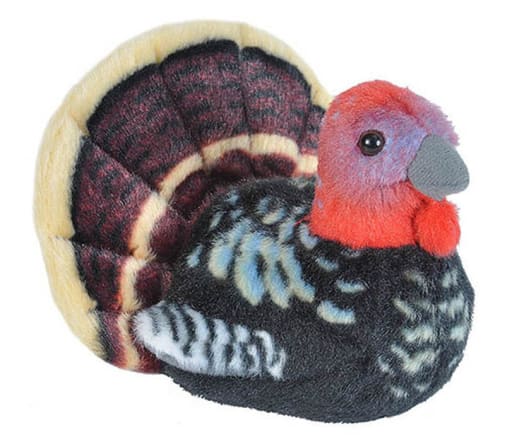 Audubon Bird: Wild Turkey with Bird Call
