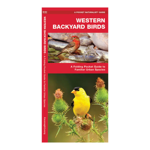 Western Backyard Birds Guide