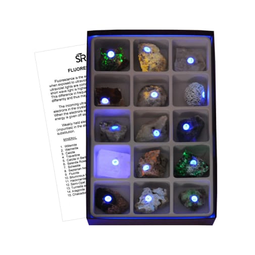 Fluorescent Minerals Short and Long Wave (15 specimens)