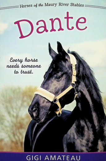 Dante of the Maury River (Horses of the Maury River Stables)