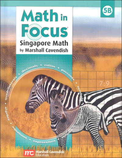 Math in Focus Grade 5 Student Book B