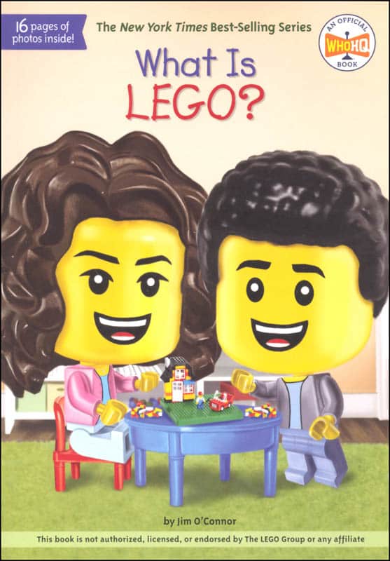 What Is LEGO?