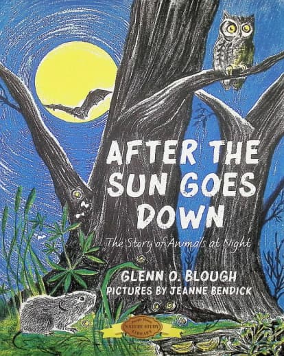 After the Sun Goes Down by Glenn Blough