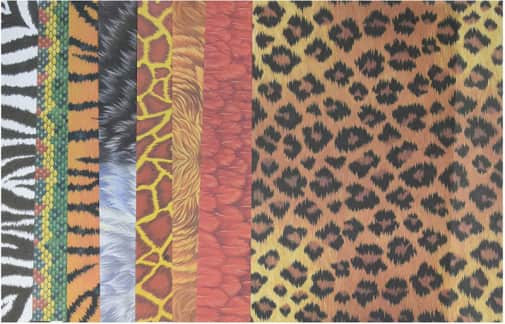 Amazing Animal Papers