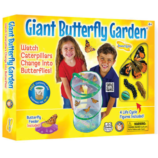 Giant Butterfly Garden