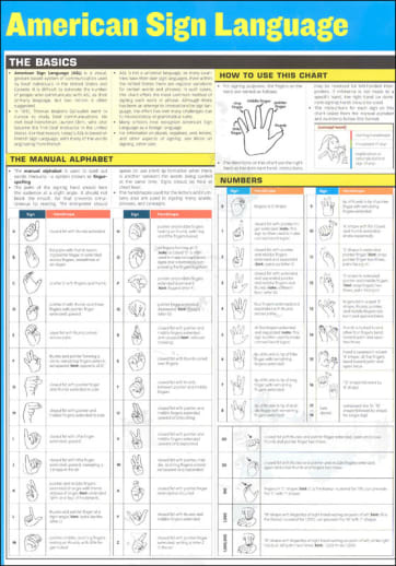 American Sign Language SparkChart