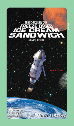 Astronaut Food - Mint Chocolate Chip Ice Cream Sandwich