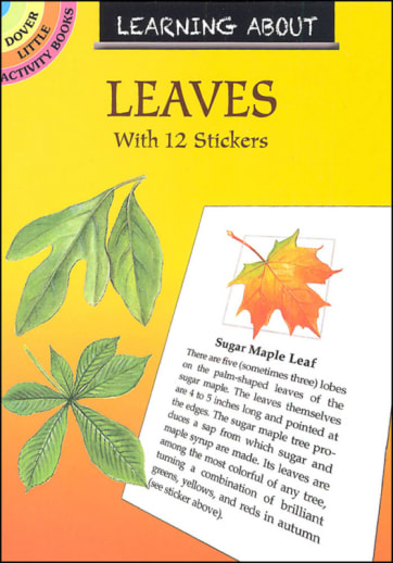 Learning About Leaves