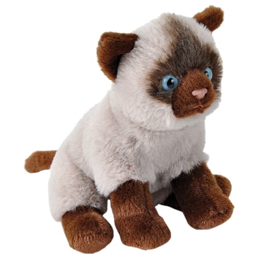 Pocketkins-Eco Siamese Cat 5" Plush