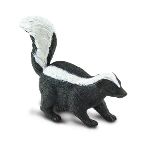 Skunk (Wild Safari North American Wildlife)