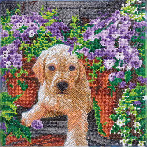 Crystal Art Medium Framed Kit - Floral Pup