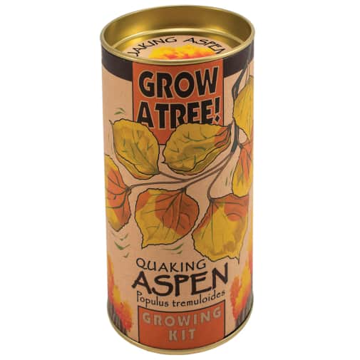 Quaking Aspen Grow-A-Tree Kit