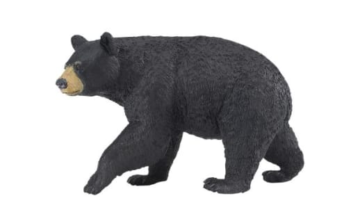 Black Bear (Wild Safari Forest)