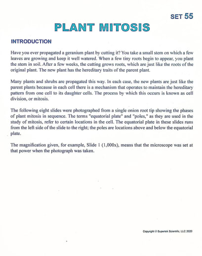Plant Mitosis Microslide Lesson Set