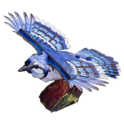 Sky Echo Blue Jay