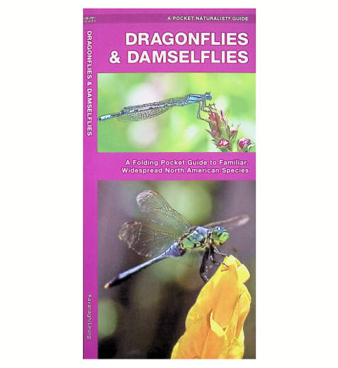 Dragonflies & Damselflies Folding Pocket Guide