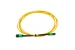 MPO Cable, 12-Strand, OS2, LSZH, UPC, Type B, Female Key Up to Female Key Up, 5 Meters