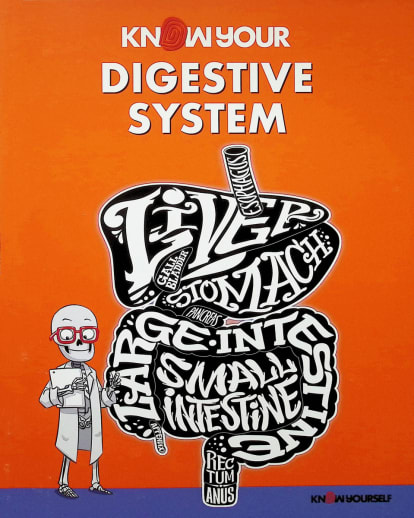 Digestive System: Know Your Body