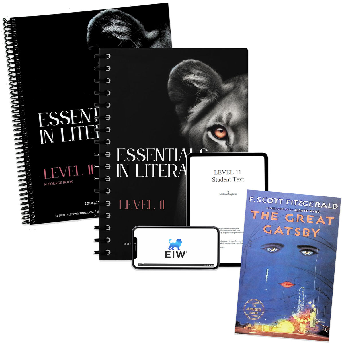 Essentials in Literature Level 11 Bundle (Textbook Resource Book Novel and Online Video Subscription)