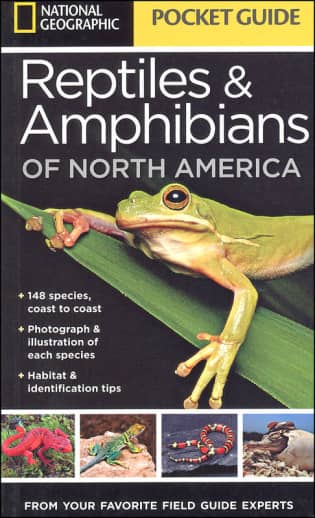 Pocket Guide to Reptiles and Amphibians of North America