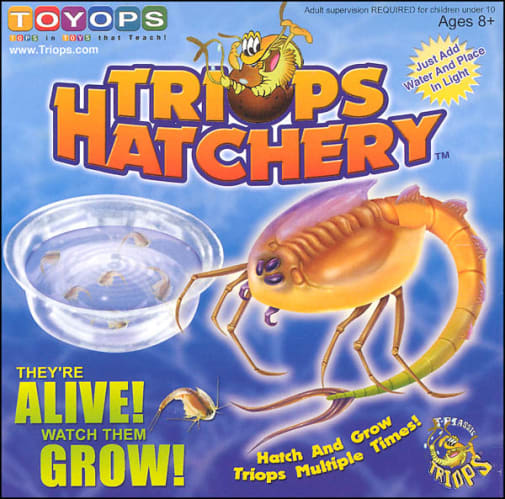 Triops Hatchery