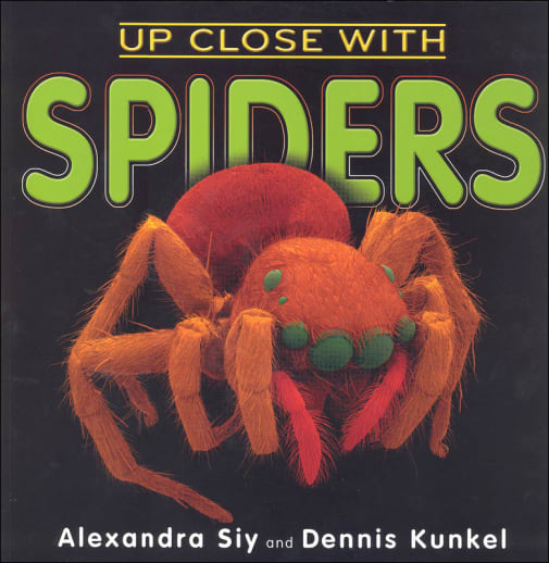 Up Close with Spider