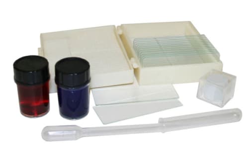Walter Products Microscope Slide Making Kit