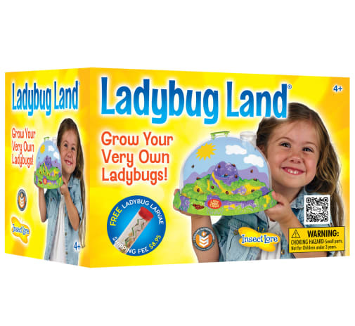 Ladybug Land