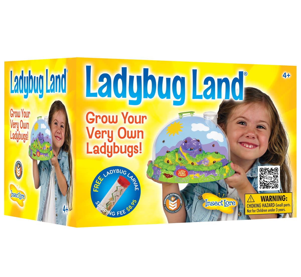 Ladybug Land