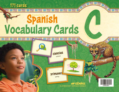 Elementary Spanish C Vocabulary Cards (438928)