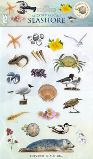 Seashore Sticker Play Scene