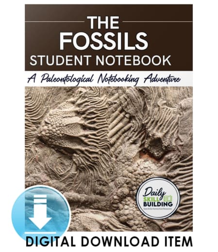Fossils Student Notebook (Digital)