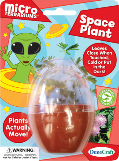 Miraculous Moving Plant (Mini Terrarium)