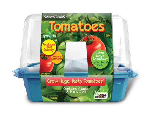 Beefsteak Tomatoes (Sprouter Greenhouse)