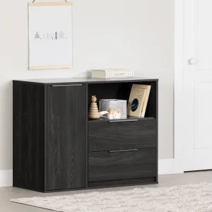 2-Drawer Dresser with Door