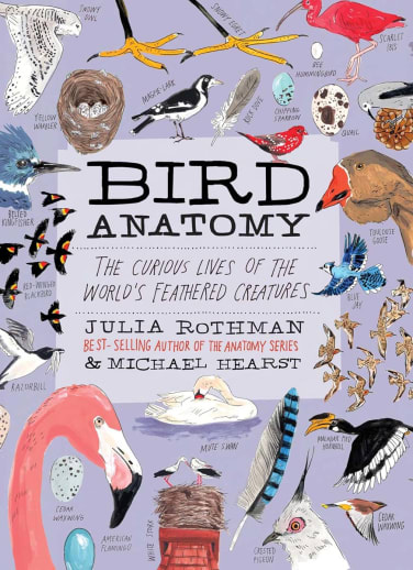 Bird Anatomy: Curious Lives of the World's Feathered Creatures