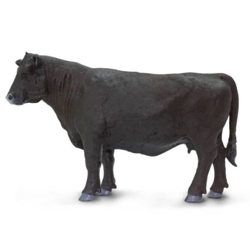Black Angus Cow (Safari Farm)