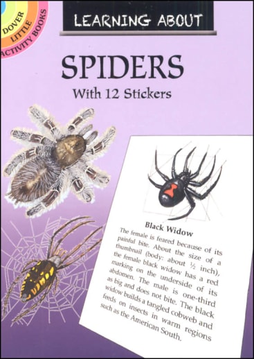 Learning About Spiders