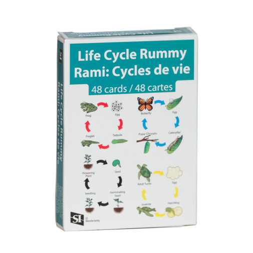 Life Cycle Rummy Card Game