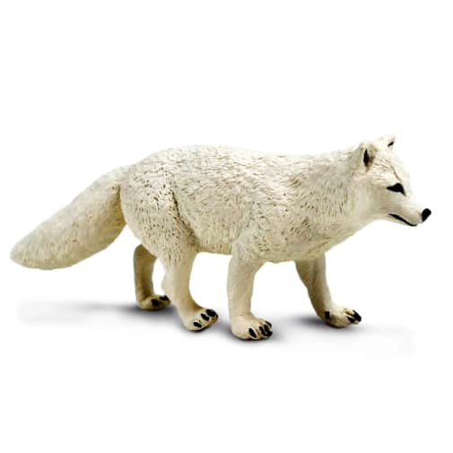 Safari Arctic Fox (Incredible Creatures Collection)