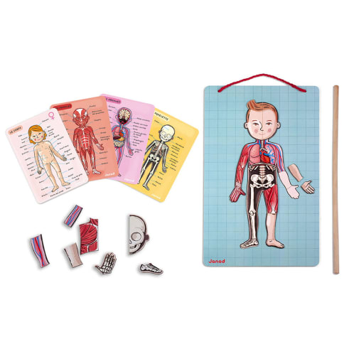 Janod Learning About the Body Magnets