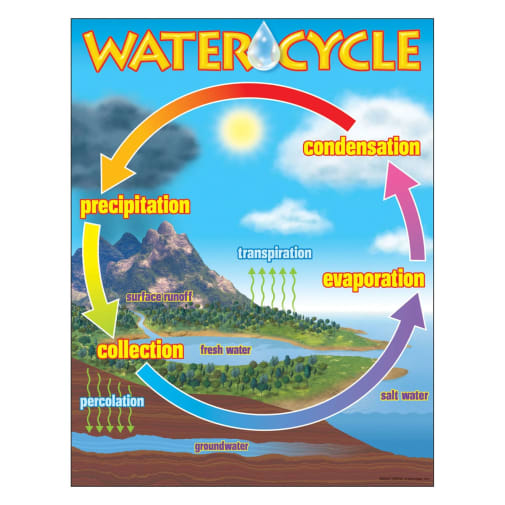 Water Cycle Learning Chart