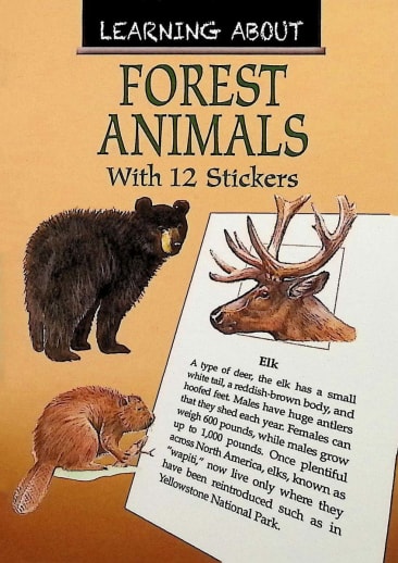 Learning About Forest Animals