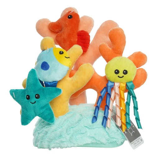 Magnetic Matchers Coral Crew