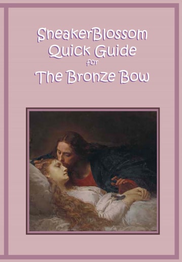 SneakerBlossom Quick Guide for the Bronze Bow