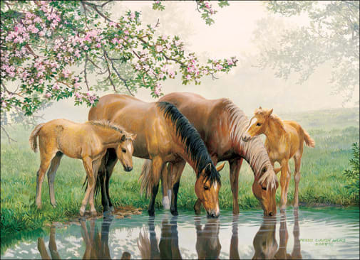 Cobble Hill Watering Hole Tray Puzzle (35 piece)