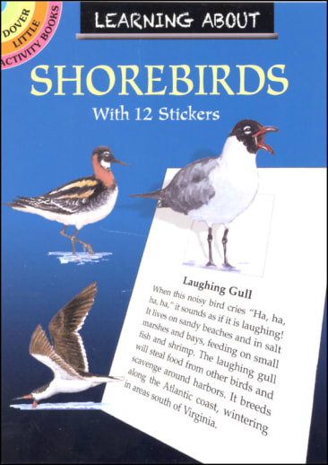Learning About Shore Birds