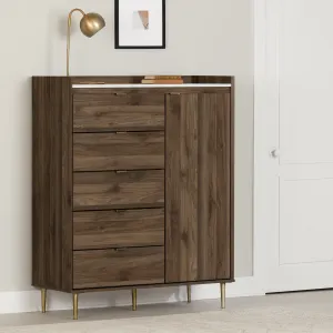 Door Chest with 5 Drawers