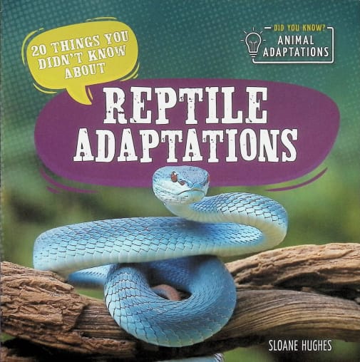 Reptile Adaptations (20 Things You Didn't Know About)